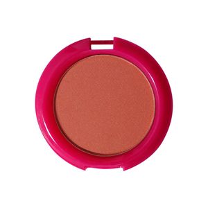 Blush Compacto Perfect | Frederika Make