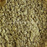 glitter-florenza-cambridge-2