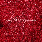 glitter-florenza-cor-96-vermelho-9