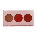 phallebeauty-paleta-de-blush-02