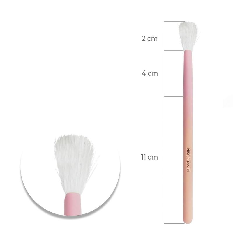 miss-frandy-pincel-pm19-pcr0909