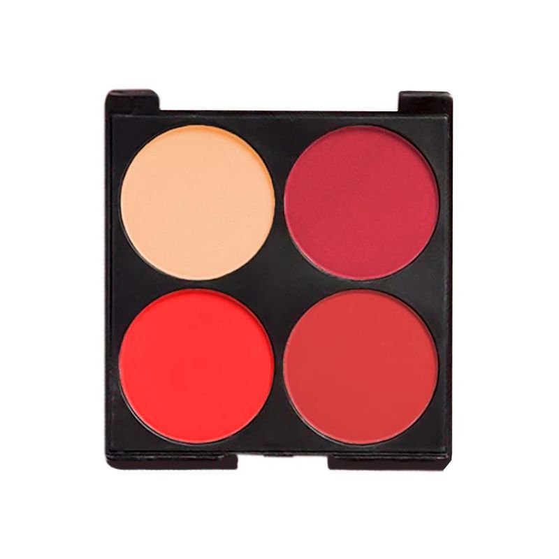 bare-blusher-blush-palette-fard-a-joues-02