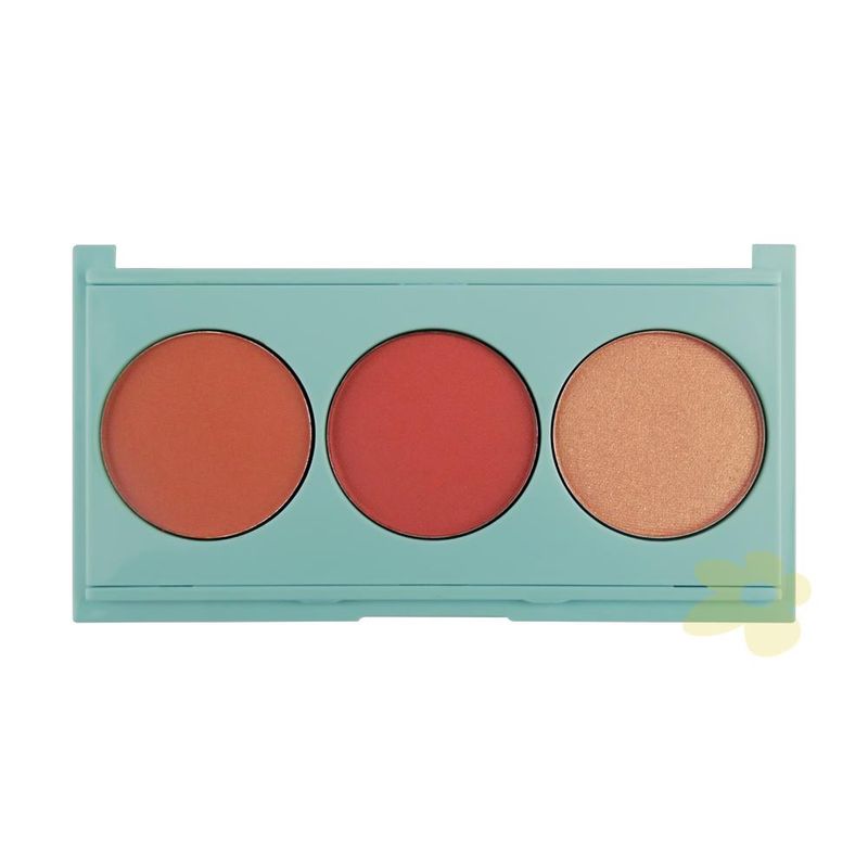 paleta-de-blushes-carinha-de-metida-boca-rosa-02