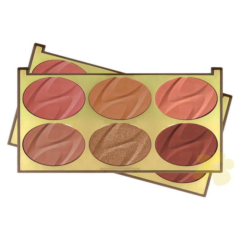 paleta-de-blush-6-color-blush-miss-rose-mod-01-01