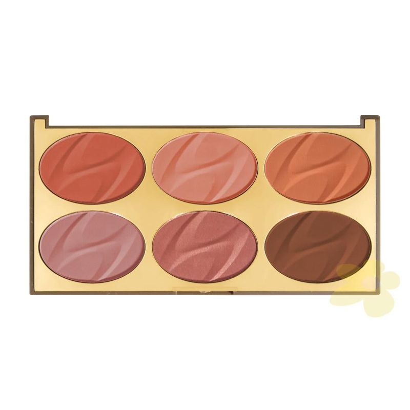 paleta-de-blush-6-color-blush-miss-rose-02