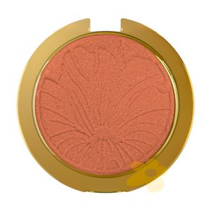 3x1 Blush, Iluminador e Sombra | Vanessa Rozan by Tracta