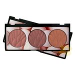Trio-blush-miss-rose-cor-01-01