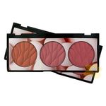 Trio-blush-miss-rose-cor-02-01