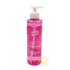 Gel de Limpeza 300g. | Niina Secrets