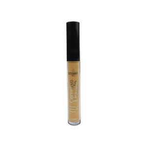 Fluid Concealer | Catharine Hill