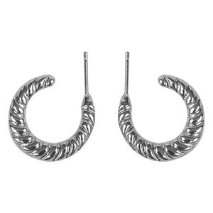 2501-1 | Brinco Argola | Importado